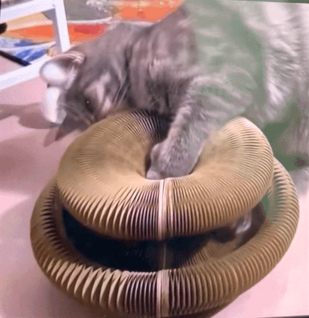 MiLoop - Il Gioco che Accende la Curiosità del Tuo Gatto -
